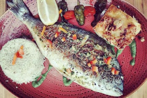 Restaurant avec poisson frais et sauvage à Sète